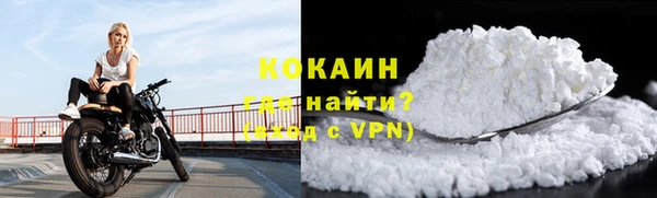 хмурый Свободный