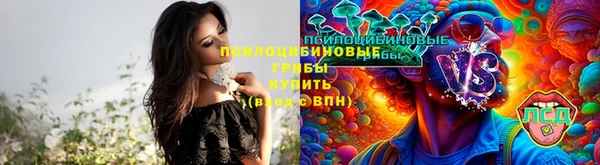 стаф Усолье-Сибирское