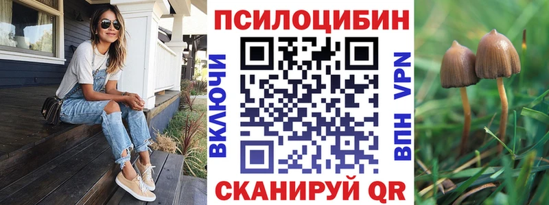 Галлюциногенные грибы Psilocybe  маркетплейс Telegram  Александровское 